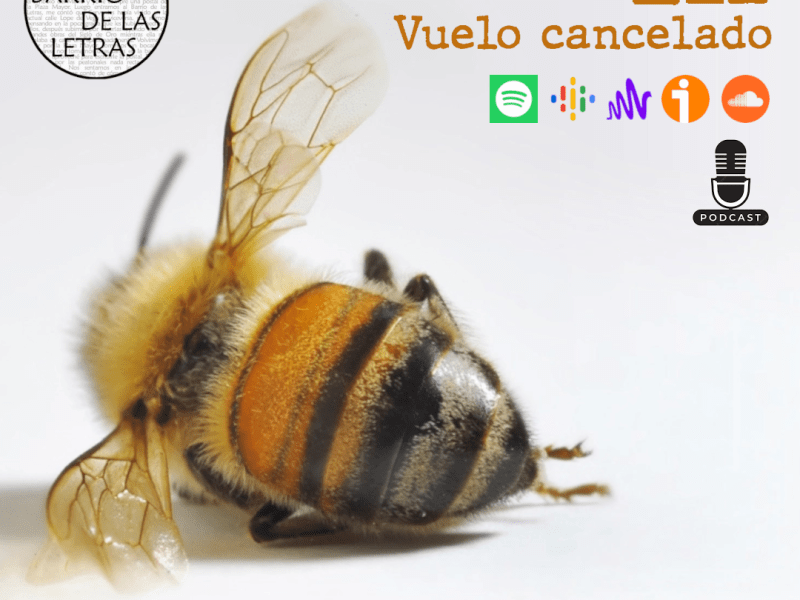 Podcast. «Vuelo cancelado»